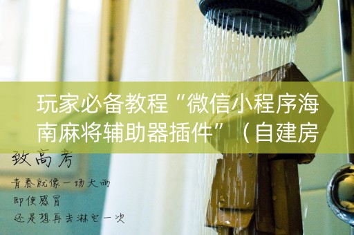 玩家必备教程“微信小程序海南麻将辅助器插件”（自建房怎么拿好牌)