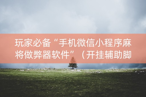 玩家必备“手机微信小程序麻将做弊器软件”（开挂辅助脚本)