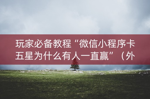 玩家必备教程“微信小程序卡五星为什么有人一直赢”（外辅工具)