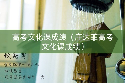 高考文化课成绩（庄达菲高考文化课成绩）