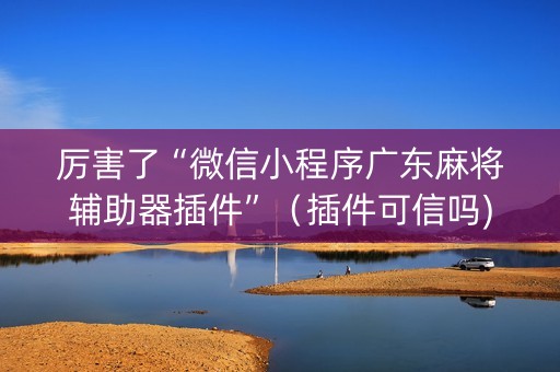 厉害了“微信小程序广东麻将辅助器插件”（插件可信吗)