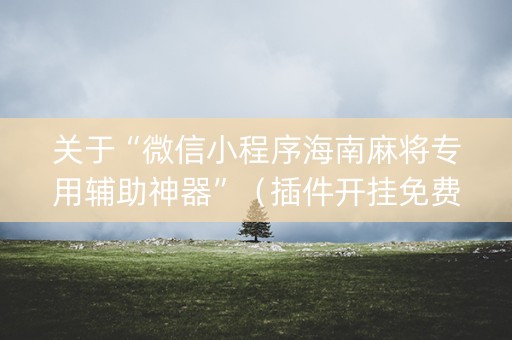关于“微信小程序海南麻将专用辅助神器”（插件开挂免费AI)