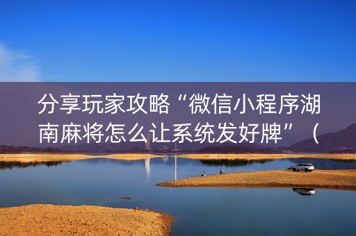 分享玩家攻略“微信小程序湖南麻将怎么让系统发好牌”（辅助软件)