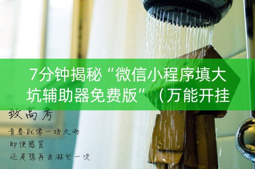 7分钟揭秘“微信小程序填大坑辅助器免费版”（万能开挂器)