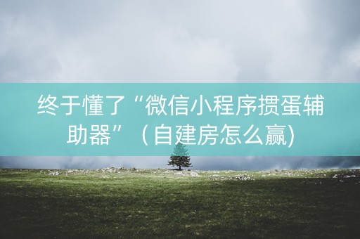 终于懂了“微信小程序掼蛋辅助器”（自建房怎么赢)