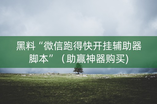 黑料“微信跑得快开挂辅助器脚本”（助赢神器购买)