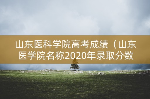 山东医科学院高考成绩（山东医学院名称2020年录取分数线）