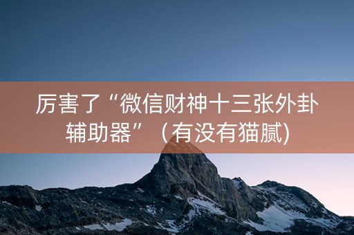 厉害了“微信财神十三张外卦辅助器”（有没有猫腻)