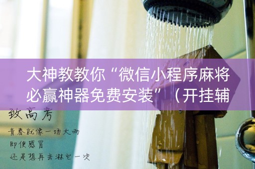 大神教教你“微信小程序麻将必赢神器免费安装”（开挂辅助器脚本)