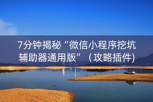 7分钟揭秘“微信小程序挖坑辅助器通用版”（攻略插件)