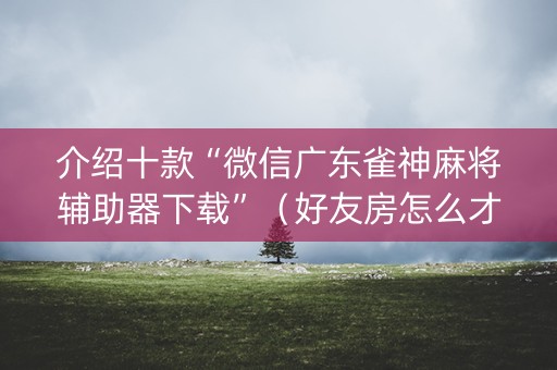 介绍十款“微信广东雀神麻将辅助器下载”（好友房怎么才能赢)
