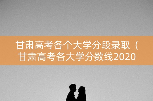 甘肃高考各个大学分段录取（甘肃高考各大学分数线2020理科）