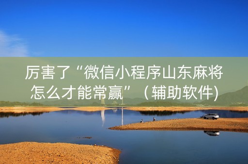 厉害了“微信小程序山东麻将怎么才能常赢”（辅助软件)