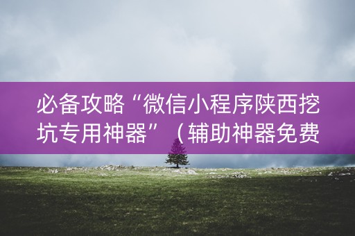 必备攻略“微信小程序陕西挖坑专用神器”（辅助神器免费)