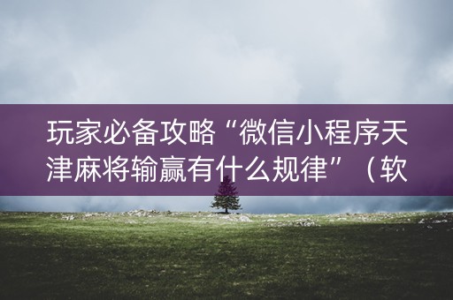 玩家必备攻略“微信小程序天津麻将输赢有什么规律”（软挂神器)
