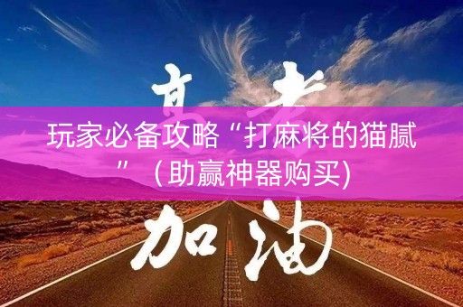 玩家必备攻略“打麻将的猫腻”（助赢神器购买)