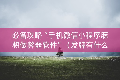 必备攻略“手机微信小程序麻将做弊器软件”（发牌有什么规律吗)