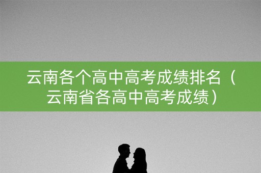 云南各个高中高考成绩排名（云南省各高中高考成绩）