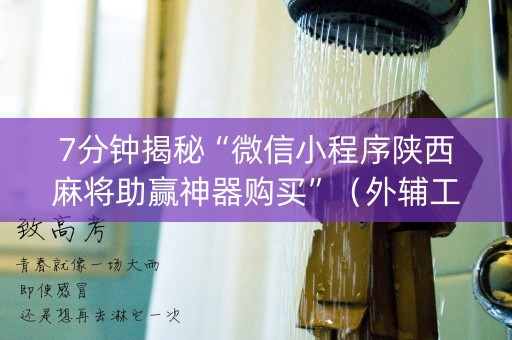 7分钟揭秘“微信小程序陕西麻将助赢神器购买”（外辅工具)