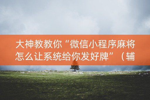 大神教教你“微信小程序麻将怎么让系统给你发好牌”（辅助挂发牌规律)