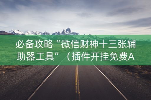 必备攻略“微信财神十三张辅助器工具”（插件开挂免费AI)