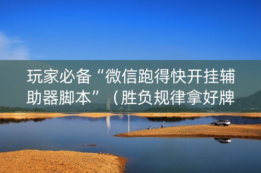 玩家必备“微信跑得快开挂辅助器脚本”（胜负规律拿好牌)