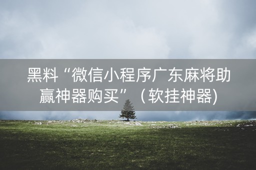 黑料“微信小程序广东麻将助赢神器购买”（软挂神器)