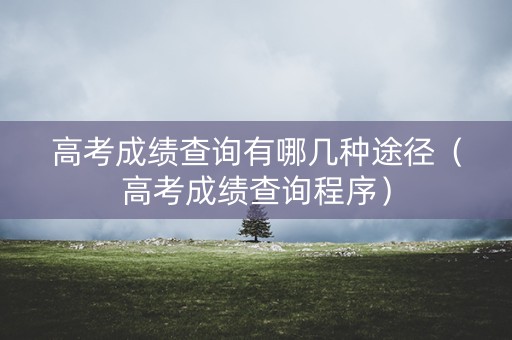 高考成绩查询有哪几种途径（高考成绩查询程序）