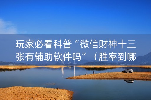 玩家必看科普“微信财神十三张有辅助软件吗”（胜率到哪调)