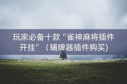 玩家必备十款“雀神麻将插件开挂”（辅牌器插件购买)