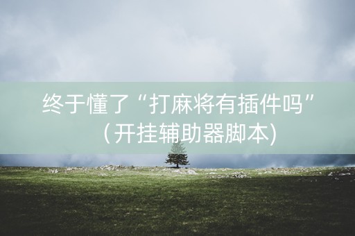 终于懂了“打麻将有插件吗”（开挂辅助器脚本)