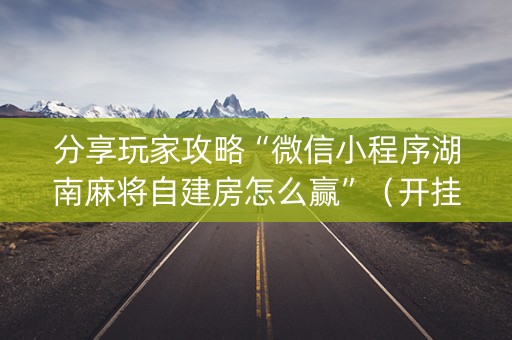 分享玩家攻略“微信小程序湖南麻将自建房怎么赢”（开挂辅助器插件)
