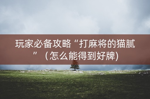 玩家必备攻略“打麻将的猫腻”（怎么能得到好牌)