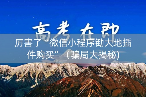 厉害了“微信小程序锄大地插件购买”（骗局大揭秘)