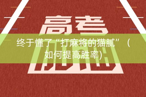 终于懂了“打麻将的猫腻”（如何提高胜率)