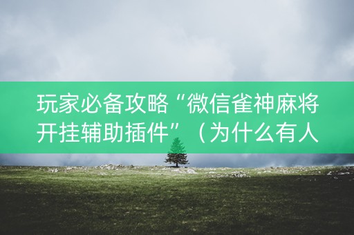 玩家必备攻略“微信雀神麻将开挂辅助插件”（为什么有人一直赢)