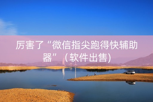 厉害了“微信指尖跑得快辅助器”（软件出售)