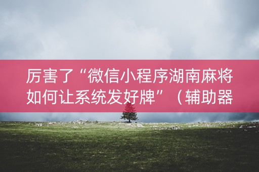 厉害了“微信小程序湖南麻将如何让系统发好牌”（辅助器插件)