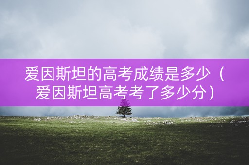 爱因斯坦的高考成绩是多少（爱因斯坦高考考了多少分）