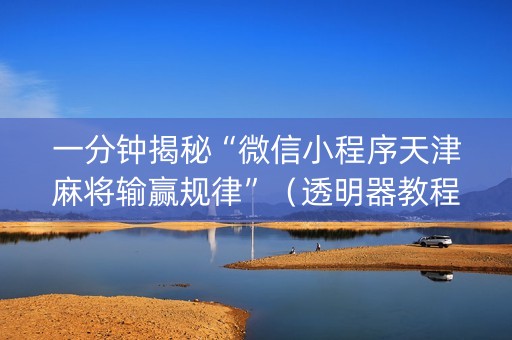 一分钟揭秘“微信小程序天津麻将输赢规律”（透明器教程)