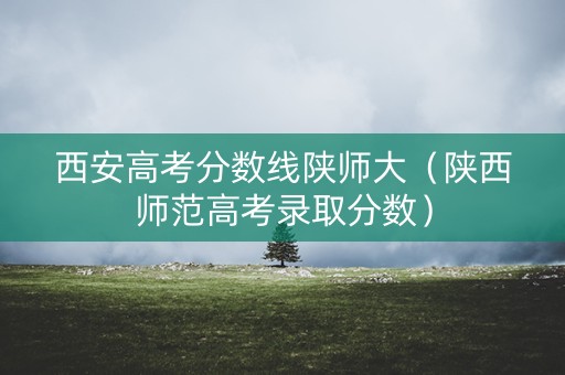 西安高考分数线陕师大（陕西师范高考录取分数）