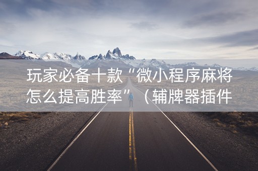 玩家必备十款“微小程序麻将怎么提高胜率”（辅牌器插件购买)