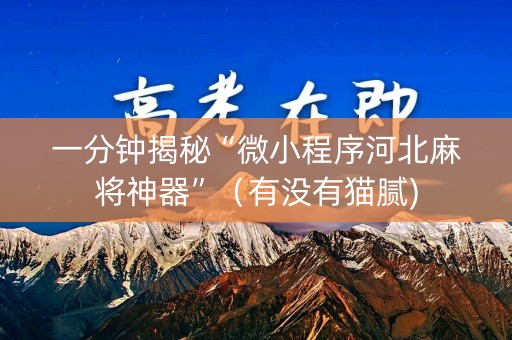 一分钟揭秘“微小程序河北麻将神器”（有没有猫腻)