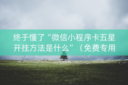终于懂了“微信小程序卡五星开挂方法是什么”（免费专用神器)
