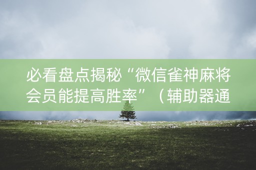 必看盘点揭秘“微信雀神麻将会员能提高胜率”（辅助器通用版)