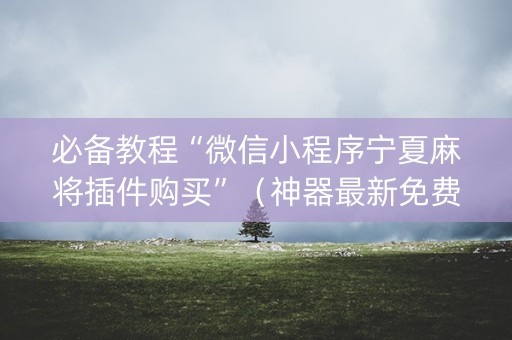 必备教程“微信小程序宁夏麻将插件购买”（神器最新免费)