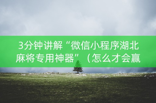 3分钟讲解“微信小程序湖北麻将专用神器”（怎么才会赢)