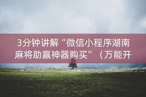 3分钟讲解“微信小程序湖南麻将助赢神器购买”（万能开挂神器)