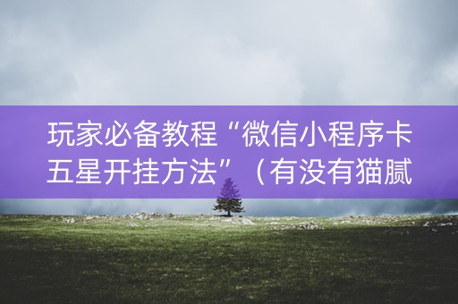 玩家必备教程“微信小程序卡五星开挂方法”（有没有猫腻)