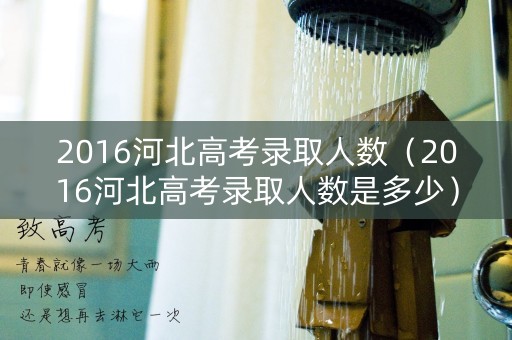2016河北高考录取人数（2016河北高考录取人数是多少）